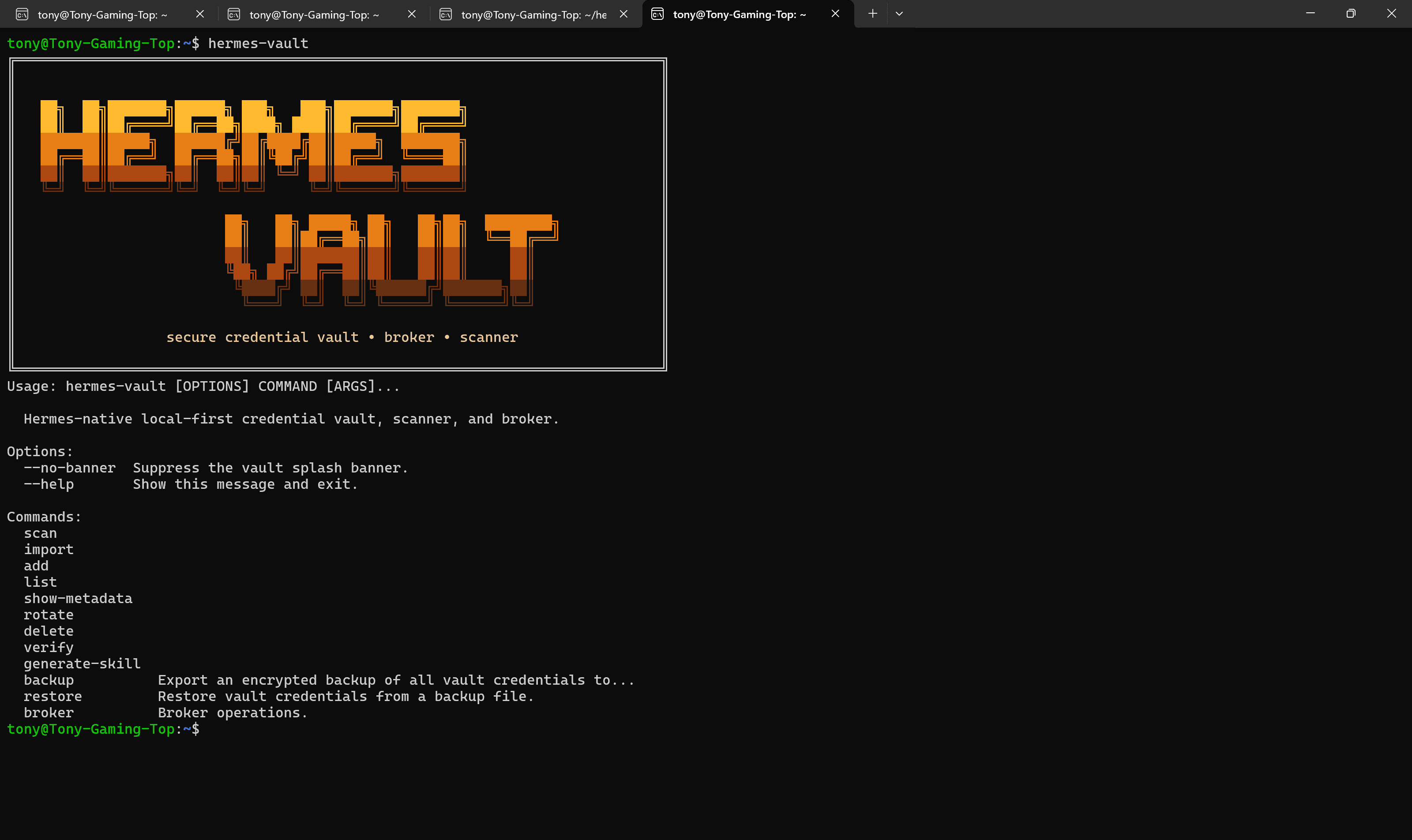 hermes vault
